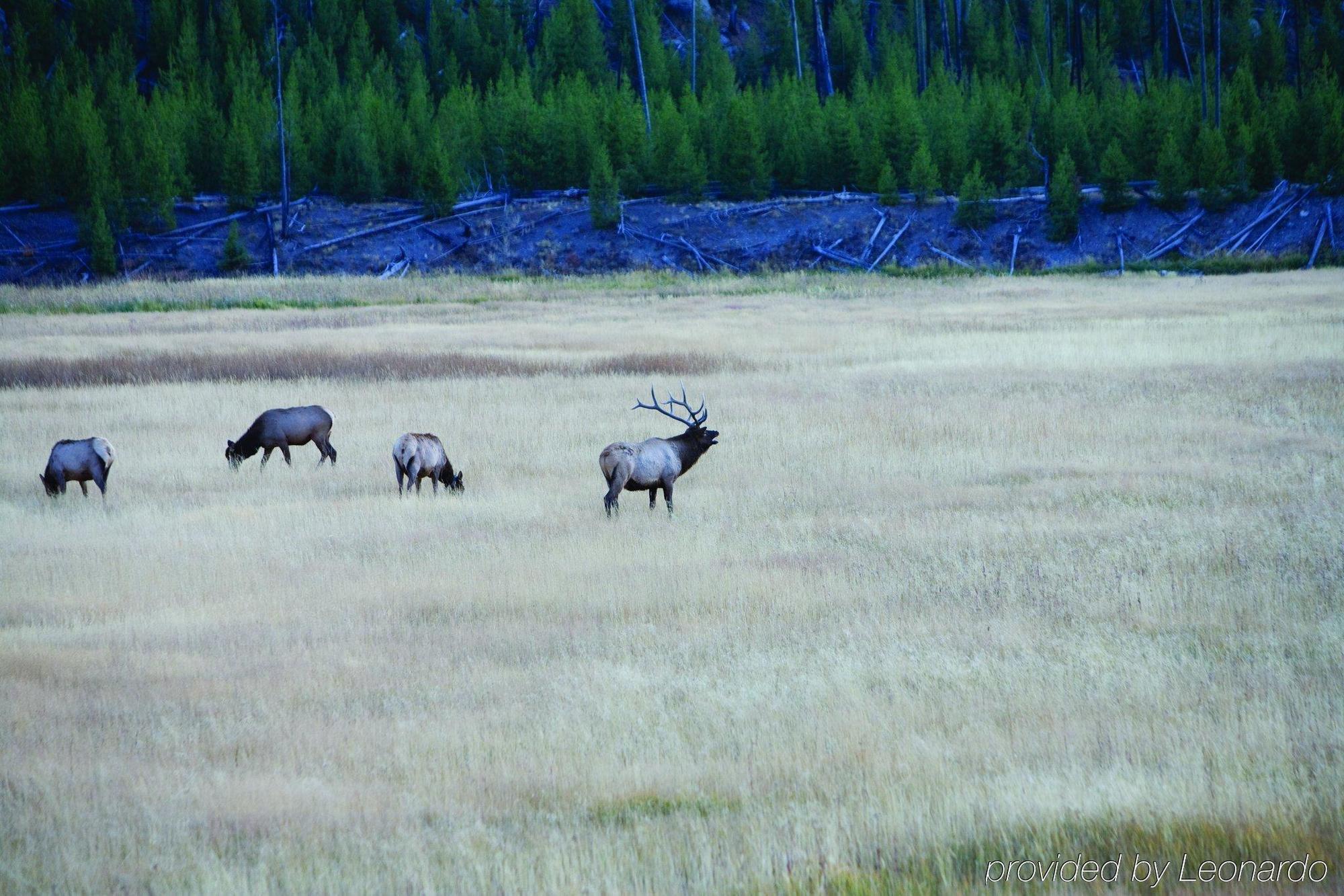Worldmark West Yellowstone Kültér fotó